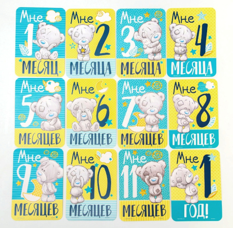 Фотосессияға арналған карталар жинағы Тедди/ Набор карточек для фотосессии Тедди